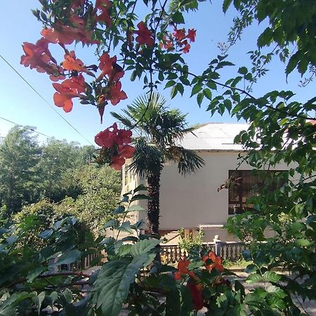 Hostel Kutaisi By Kote المظهر الخارجي الصورة