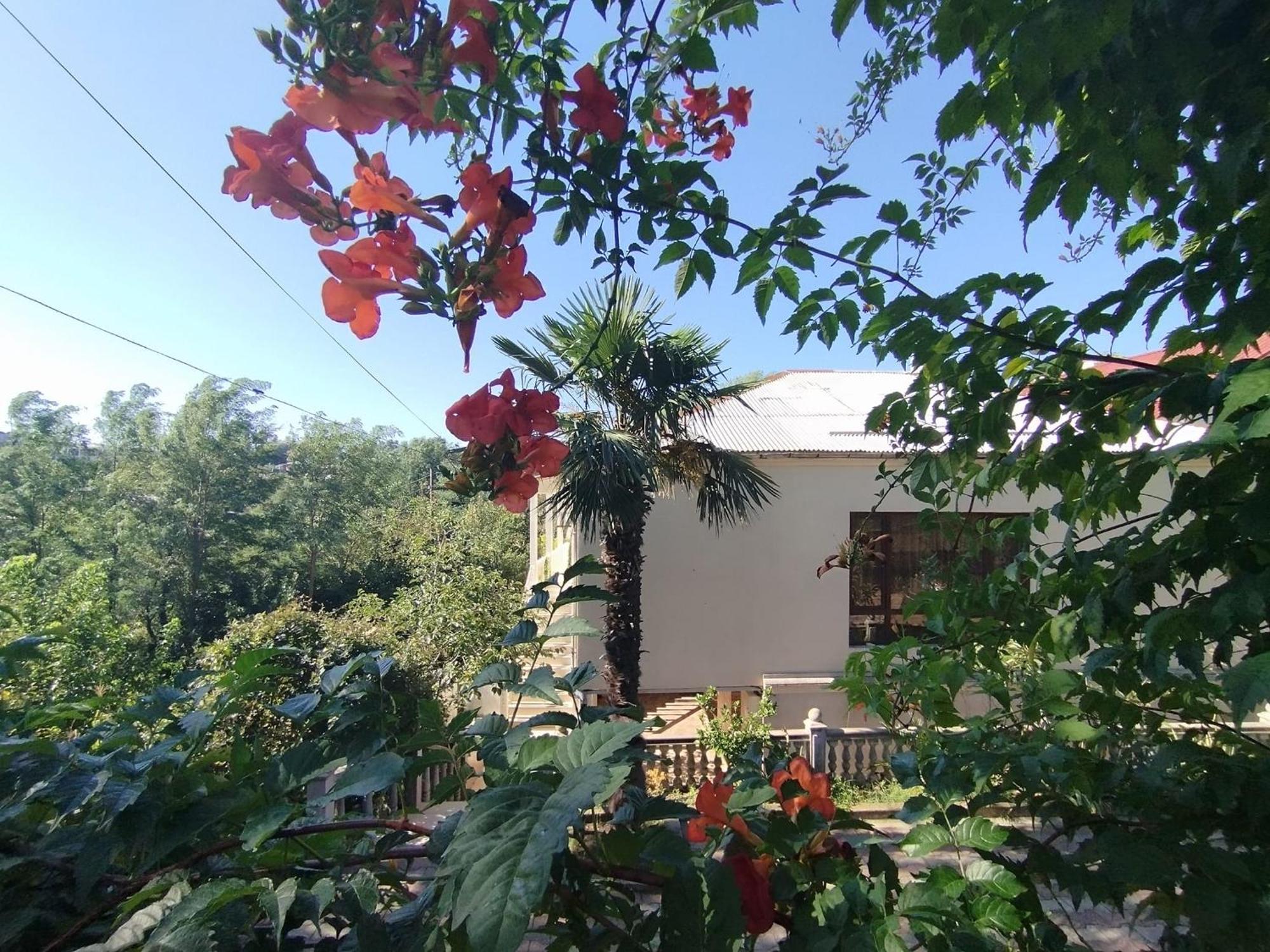Hostel Kutaisi By Kote المظهر الخارجي الصورة