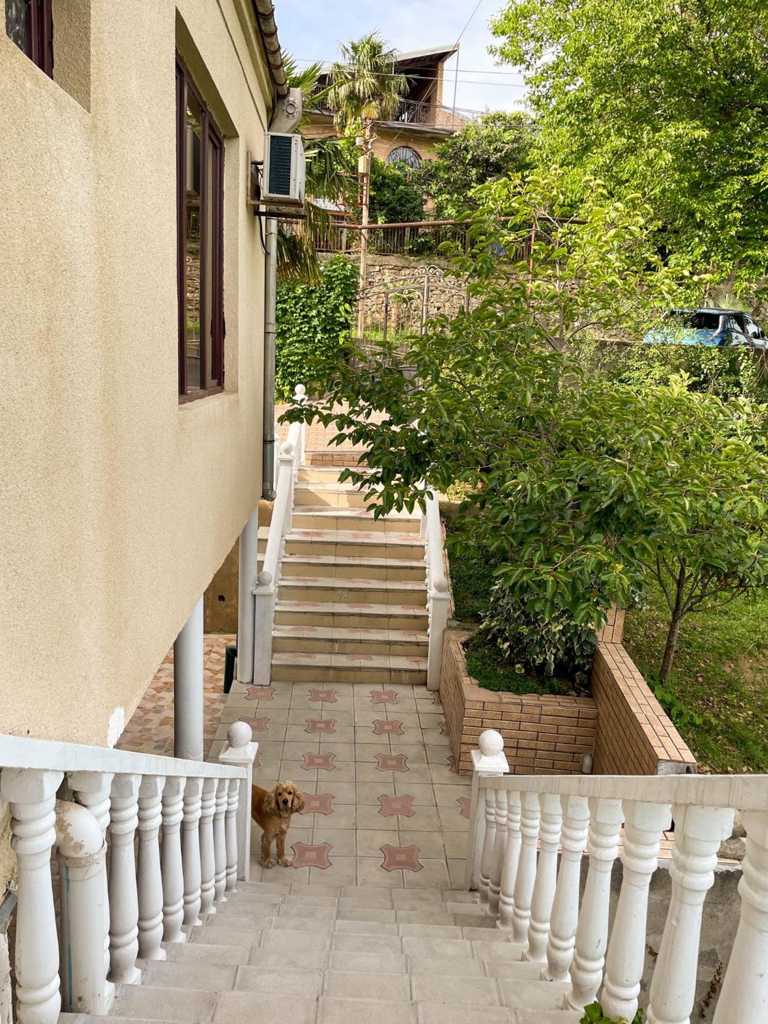 Hostel Kutaisi By Kote المظهر الخارجي الصورة